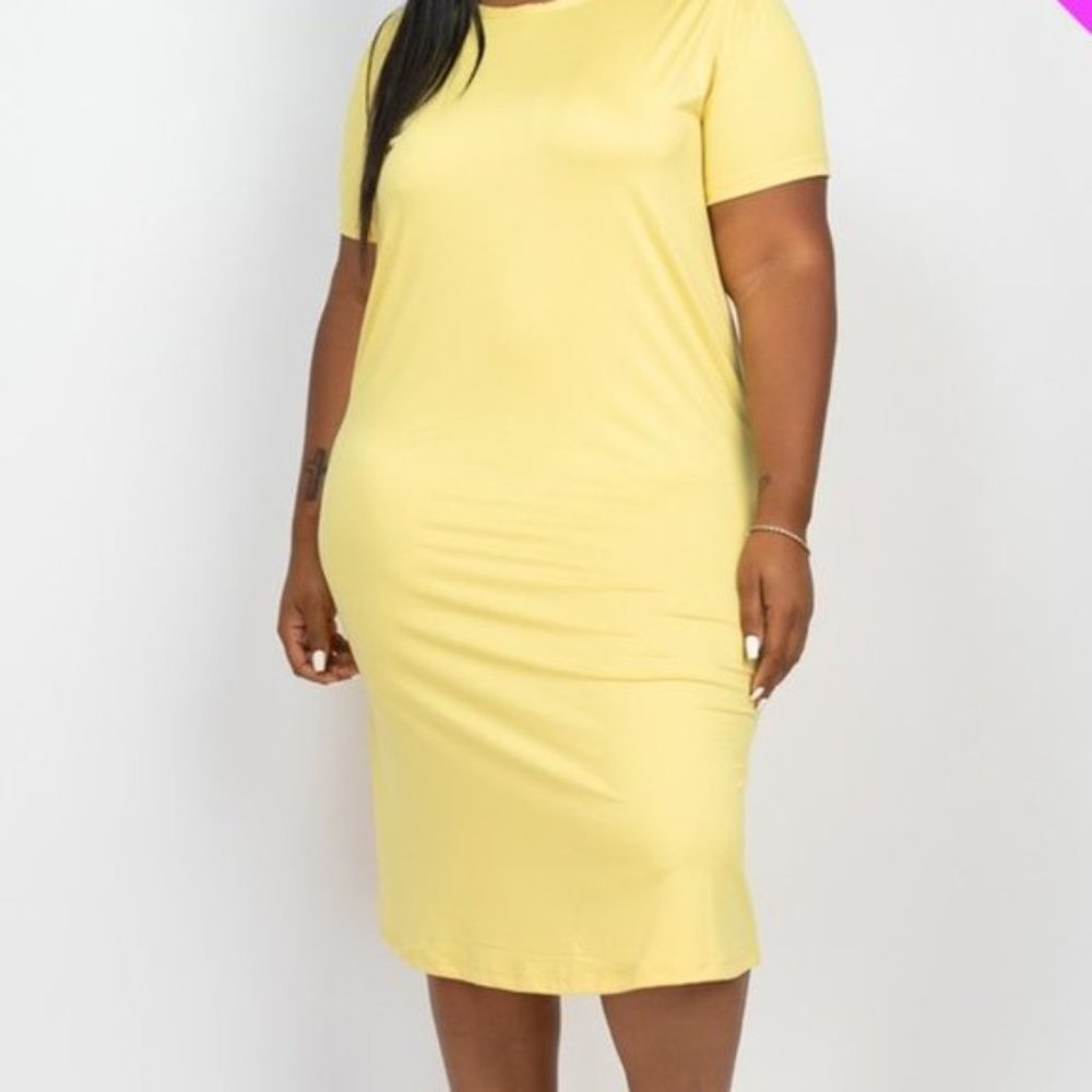 NWOT Plus Size Short Sleeve Dress